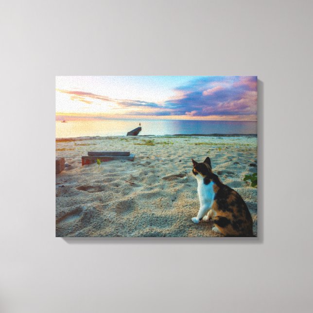 Toile Chat Assis Sur Une Plage (Recto)