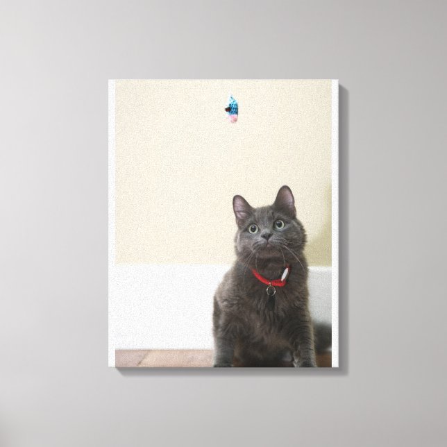 Toile Chat avec jouet (Recto)
