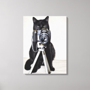 Toile Chat avec l'appareil photo