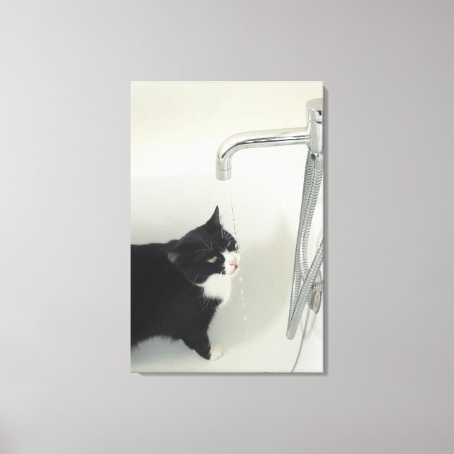 Toile Chat Boire De L'Eau À Déchirer D'Un Robinet (Recto)
