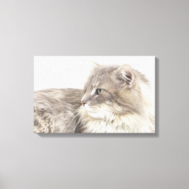 Toile Chat couché (Recto)
