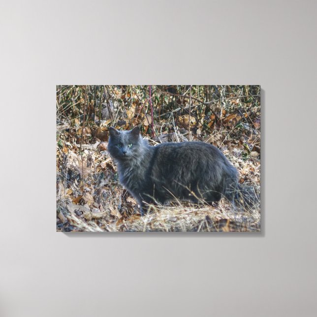 Toile Chat dans les bois (Recto)