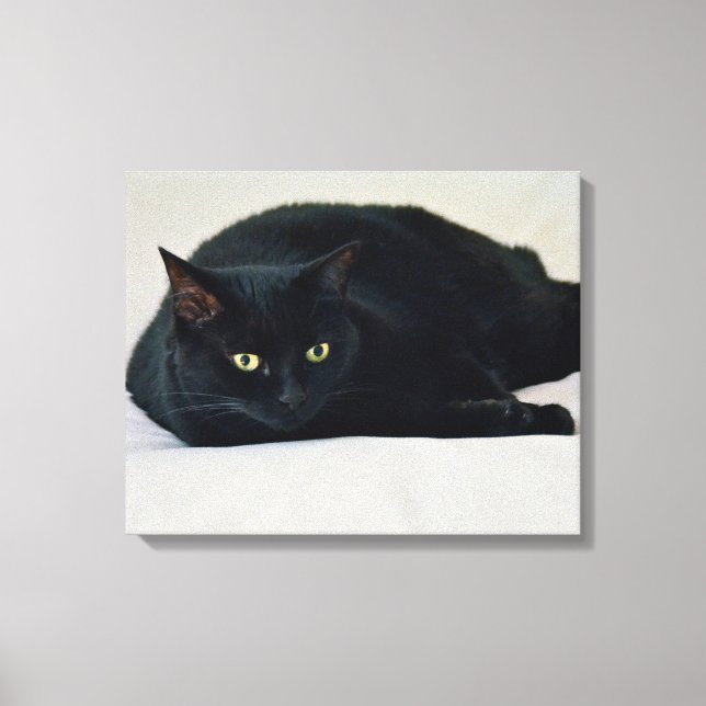 Toile Chat noir (Recto)