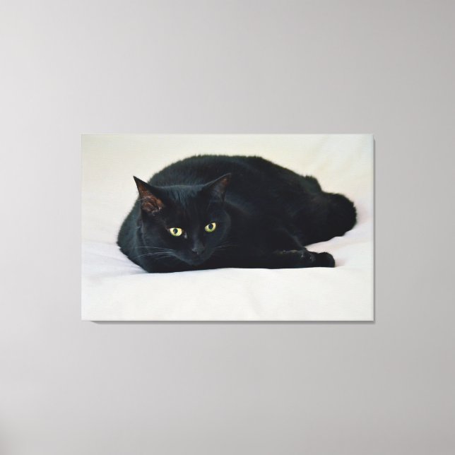 Toile Chat noir (Recto)