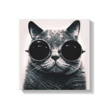 Chat noir rétro amusant avec lunettes de soleil fo