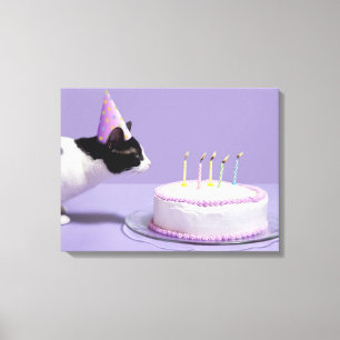 Toile Chat portant un casquette d'anniversaire soufflant