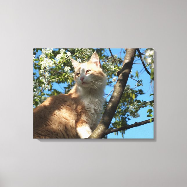 Toile Chat Sahara Dans Une Tonnelle Enveloppée De Cerisi (Recto)