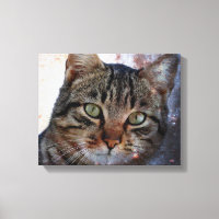 Chat spatial