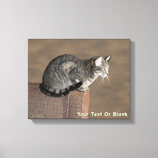Toile Chat Tabby Gris Fumé (Recto)