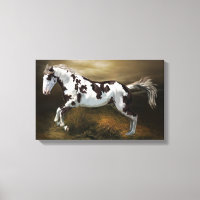 Châtaigner cadre Tovero Paint Horse