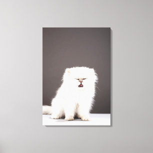 Toile Chaton avec des yeux fermés