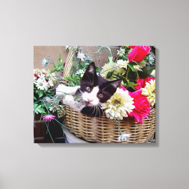 Toile Chaton dans un panier (Recto)