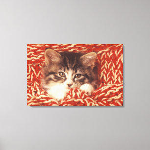 Toile Chaton enveloppé dans la couverture de laine, pla