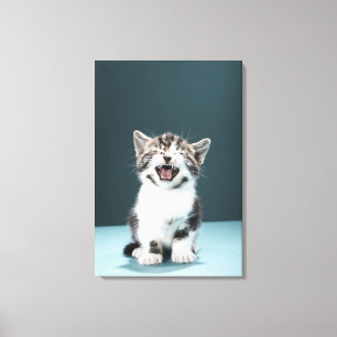Toile Chaton meowing