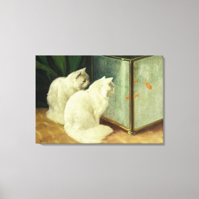 Toile Chats blancs observant le poisson rouge (Recto)