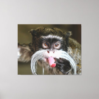 Toile Cheeky Empereur Tamarin Monkey