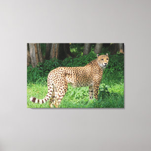 Toile Cheetah