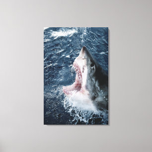 Toile Chef du grand requin blanc
