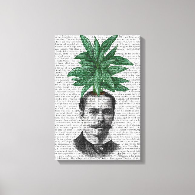 Toile Chef du Plante À feuillage persistant chinois (Recto)