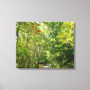 Toile Chemin boisé centenaire I Ellicott City Nature
