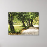 Chemin dans le pays