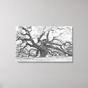 Toile Chêne d'ange