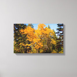 Toile Chênes à l'automne