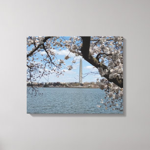 Toile CHERRY BLOSSOMS #1 SUR CANVAS 20 "x 16"