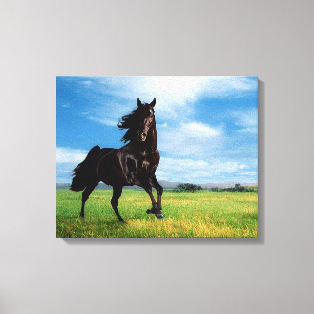 Toile Cheval (Recto)