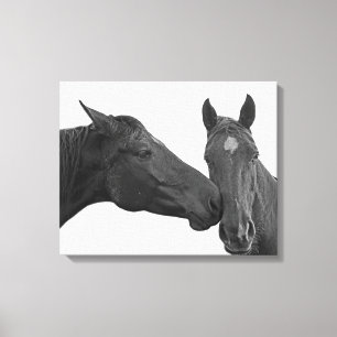 Toile Cheval animal photo équestre noir et blanc