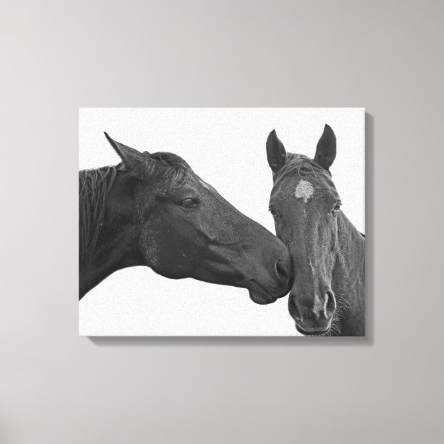 Toile Cheval animal photo équestre noir et blanc (Recto)