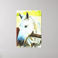 *~* Cheval blanc équin au-dessus de la clôture en