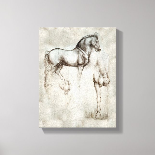 Toile Cheval Da Vinci (Recto)