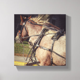 Toile Cheval de Beuatiful