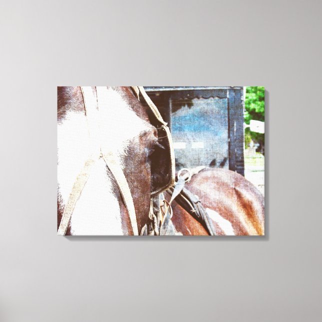 Toile Cheval de buggy amish Pinto (Recto)