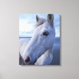Toile Cheval de Camargue