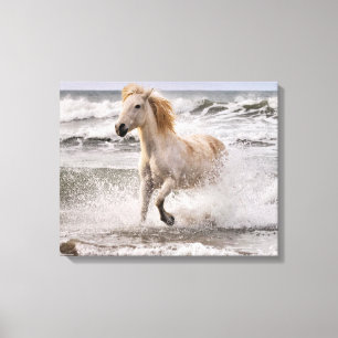Toile Cheval de Camargue sortant des vagues