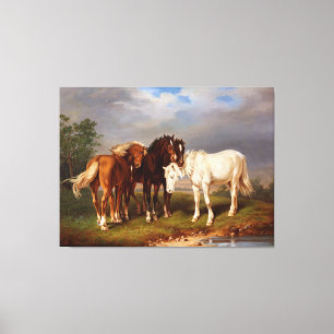 Toile Cheval de Caramel Brown blanc