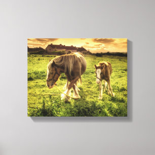 Toile Cheval de mère et de poulain