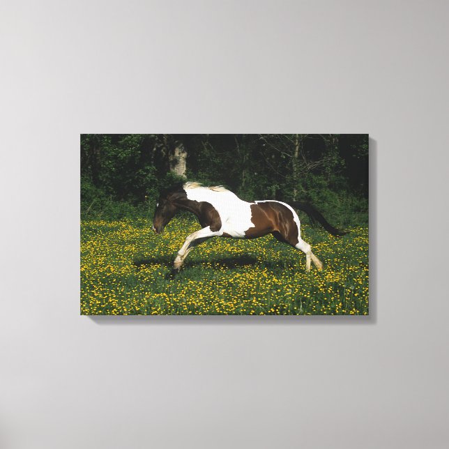 Toile Cheval de peinture courant dans le champ de fleurs (Recto)
