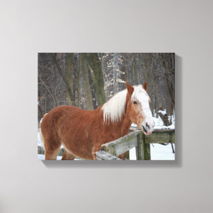 Toile Cheval de trait dans la neige