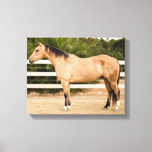 Toile Cheval Dusty Imprimer 11x14
