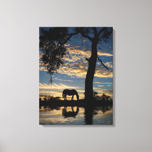 Toile Cheval et étang Joli paysage naturel