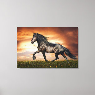 Toile cheval noir