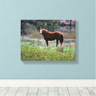 Toile Cheval regardant en arrière