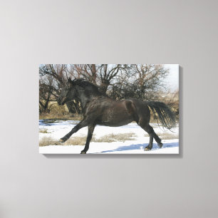 Toile Cheval sauvage de mustang dans la neige 2