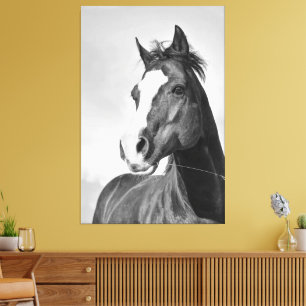Toile Cheval vintage et sauvage, noir et blanc