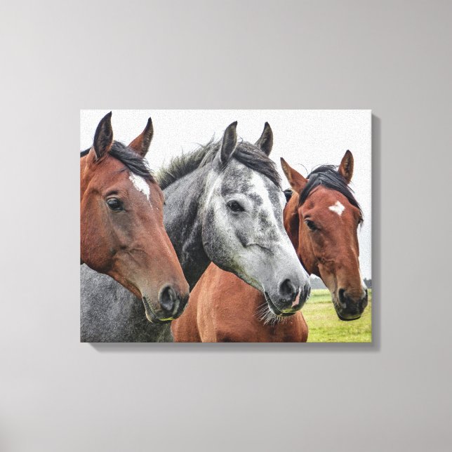 Toile Chevaux (Recto)