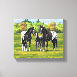 Toile Chevaux Appaloosa Noir Dans Les Pâturages D'Été