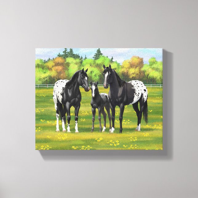 Toile Chevaux Appaloosa Noir Dans Les Pâturages D'Été (Recto)
